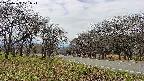 takano1-20250423121018.jpg
