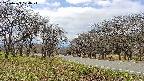 takano1-20250423124018.jpg