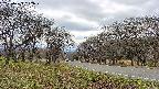 takano1-20250423132019.jpg