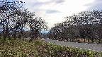 takano1-20250423162017.jpg