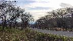 takano1-20250423164015.jpg