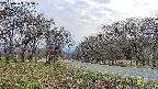 takano1-20250423175016.jpg
