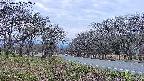 takano1-20250423182018.jpg