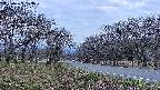 takano1-20250423183018.jpg