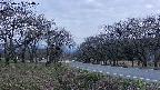 takano1-20250423184017.jpg