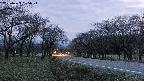 takano1-20250423185016.jpg