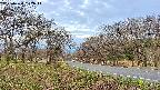 takano1-20250424052015.jpg