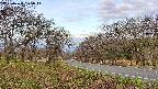takano1-20250424055015.jpg