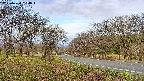 takano1-20250424064016.jpg