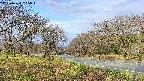 takano1-20250424065017.jpg