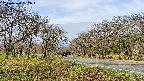 takano1-20250424082017.jpg