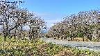 takano1-20250424092017.jpg