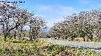 takano1-20250424095017.jpg