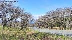 takano1-20250424100016.jpg