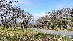 takano1-20250424101017.jpg