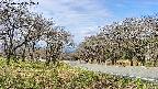 takano1-20250424102017.jpg