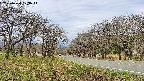 takano1-20250424103015.jpg