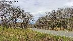 takano1-20250424104017.jpg