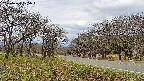 takano1-20250424105017.jpg