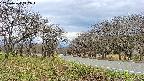 takano1-20250424112017.jpg