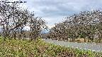 takano1-20250424114016.jpg