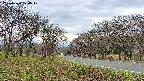 takano1-20250424120018.jpg