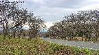 takano1-20250424121016.jpg