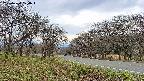 takano1-20250424124016.jpg