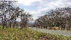 takano1-20250424131017.jpg