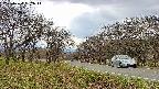 takano1-20250424132015.jpg