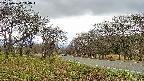 takano1-20250424140016.jpg