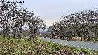 takano1-20250424174016.jpg