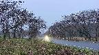 takano1-20250424182017.jpg