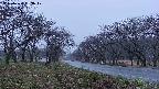 takano1-20250424183018.jpg