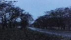 takano1-20250424185016.jpg