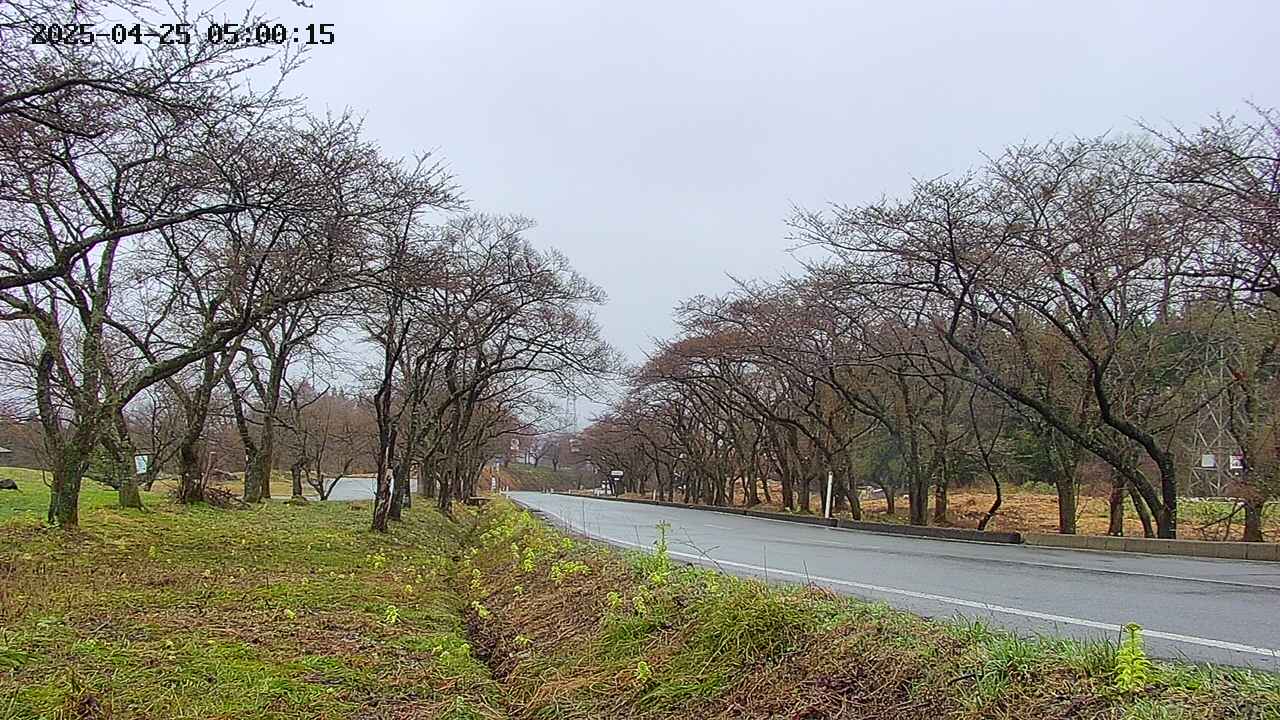 takano1-20250425050016.jpg