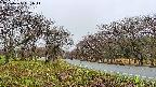 takano1-20250425061014.jpg