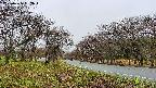 takano1-20250425062016.jpg