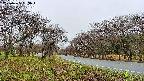 takano1-20250425063016.jpg