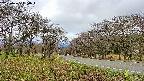 takano1-20250425094016.jpg