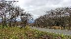 takano1-20250425095015.jpg