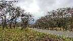 takano1-20250425101017.jpg