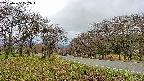takano1-20250425102017.jpg
