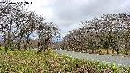 takano1-20250425103018.jpg