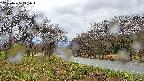 takano1-20250425111016.jpg