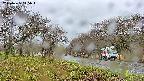 takano1-20250425115017.jpg