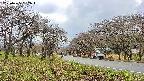 takano1-20250425132017.jpg