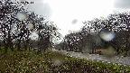 takano1-20250425142015.jpg