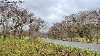 takano1-20250425162017.jpg