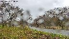 takano1-20250425164015.jpg
